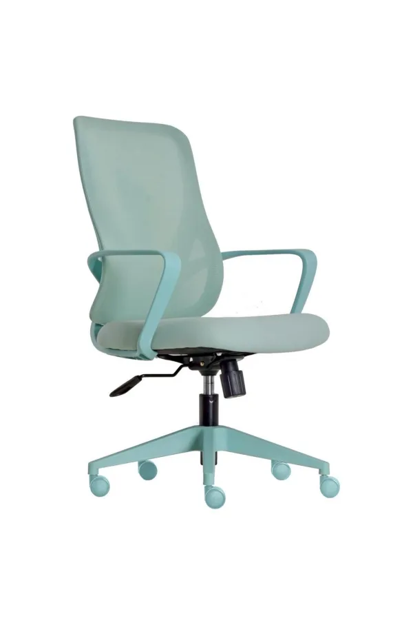 เก้าอี้ทำงาน มีท้าวแขน (DAISY-PASTEL MINT)